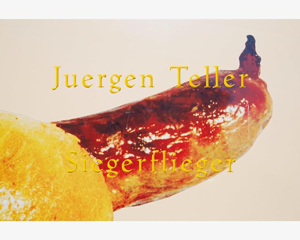 Siegerflieger cover image